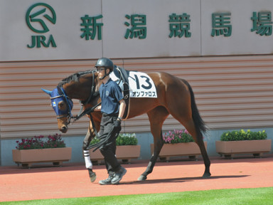 2016/05/14 新潟12R