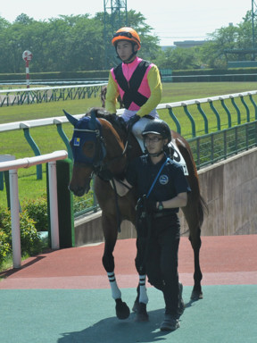 2016/05/14 新潟12R