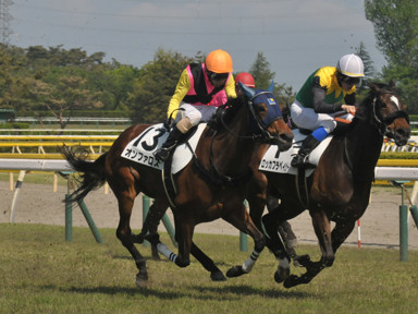 2016/05/14 新潟12R