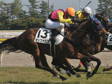 2016/05/14 新潟12R