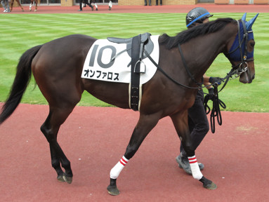 2016/10/22 新潟08R