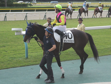 2016/10/22 新潟08R