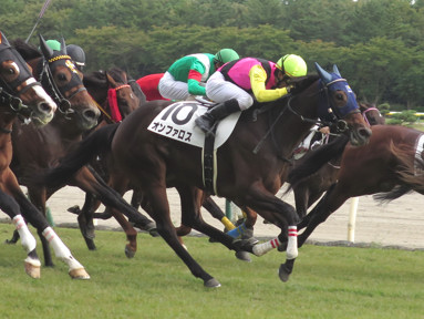 2016/10/22 新潟08R