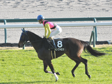 2016/12/10 中京10R