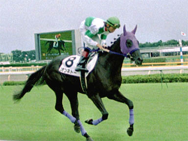 1999/10/17 東京06R