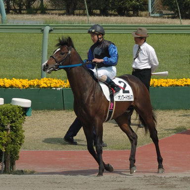 2008/04/06 R08R