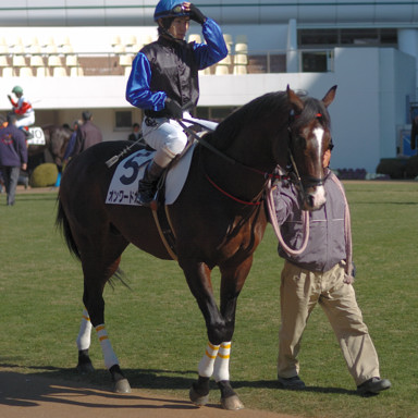 2010/01/17 R04R