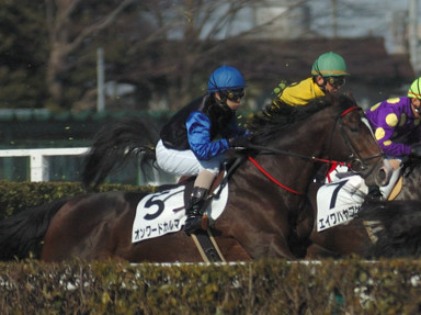 2010/01/17 R04R