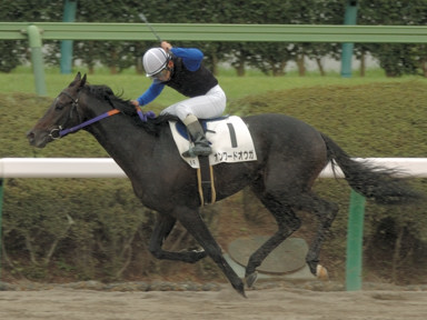 2008/09/28 R08R