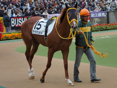 2006/11/26 05R