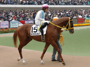 2006/11/26 05R