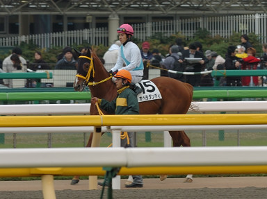 2006/11/26 05R