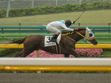 2007/06/10 05R