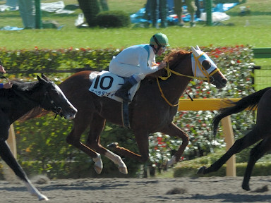 2007/10/28 06R
