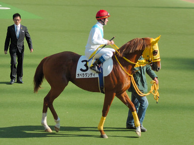 2007/11/24 07R