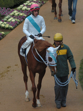 2007/12/23 R05R