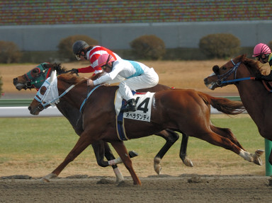 2007/12/23 R05R