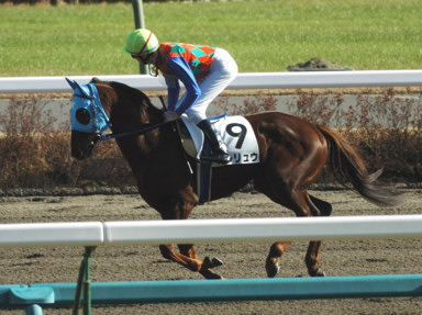 2010/12/25 R07R