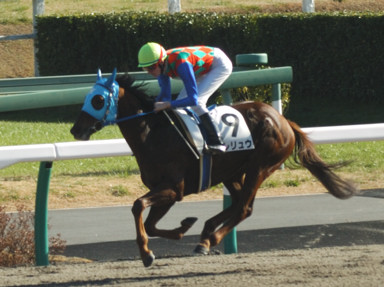 2010/12/25 R07R