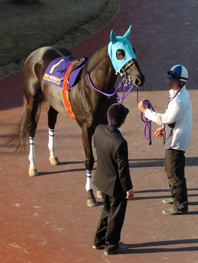 2007/01/31 川崎10R