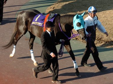 2007/01/31 川崎10R