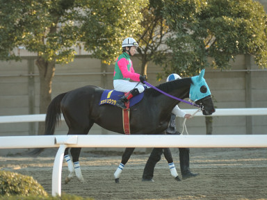 2007/01/31 川崎10R