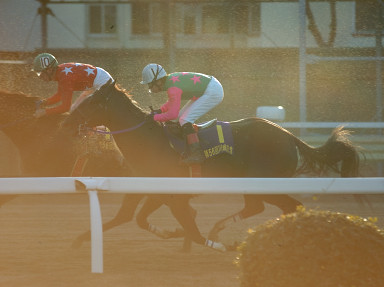 2007/01/31 川崎10R