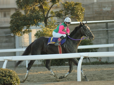 2007/01/31 川崎10R