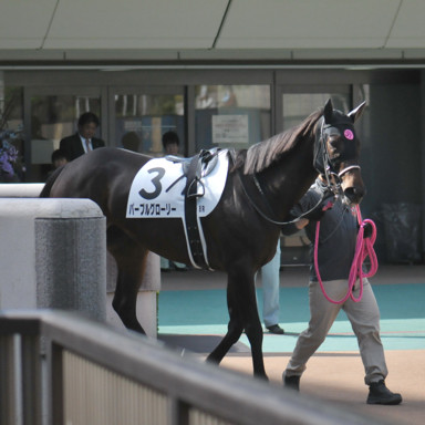 2023/10/21 東京08R