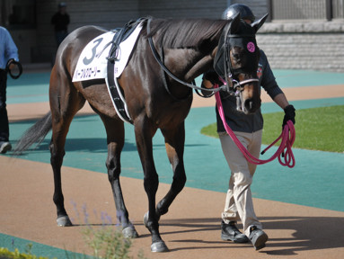 2023/10/21 東京08R