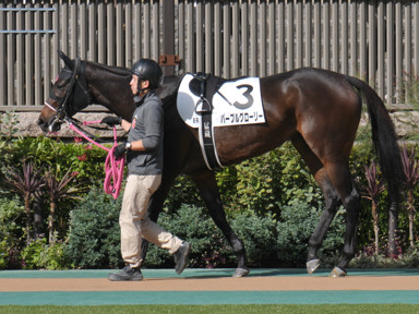 2023/10/21 東京08R