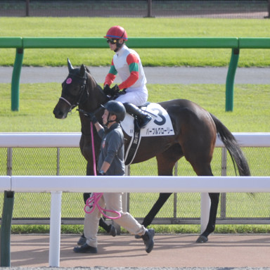 2023/10/21 東京08R