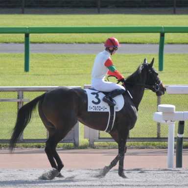 2023/10/21 東京08R