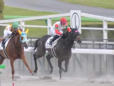 2023/10/21 東京08R