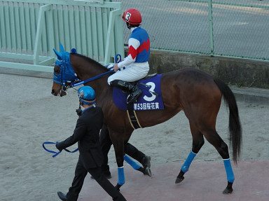 2007/03/21 Ya11R