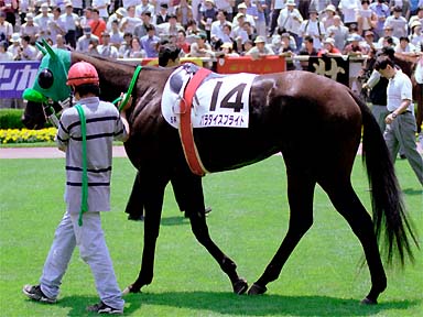 2001/06/03 東京05R