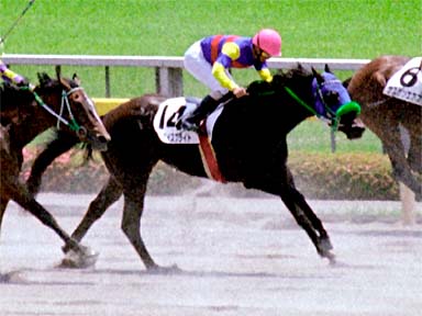 2001/06/03 東京05R