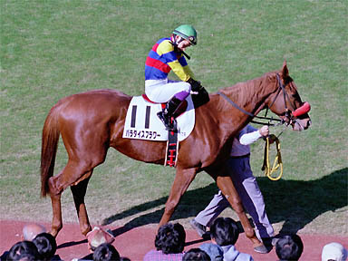 1999/11/21 東京07R