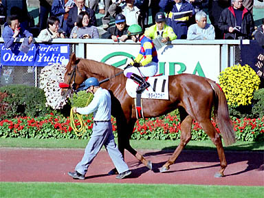 1999/11/21 東京07R