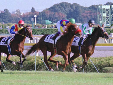 1999/11/21 東京07R