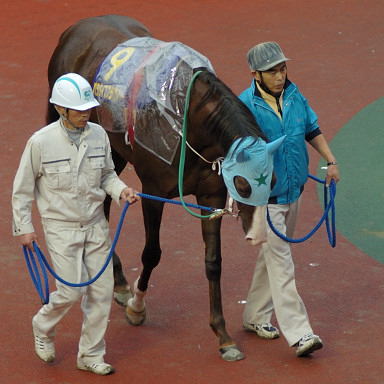 2006/12/13 川崎10R