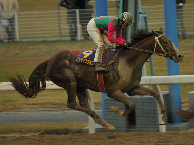 2006/12/13 川崎10R