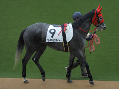 2010/02/13 東京08R