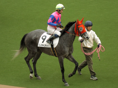 2010/02/13 東京08R
