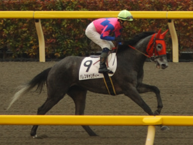 2010/02/13 東京08R