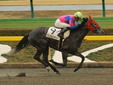2010/02/13 東京08R