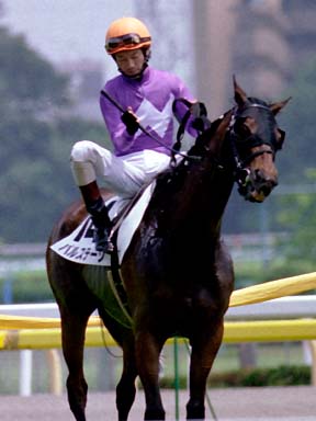 2003/06/08 ����07R