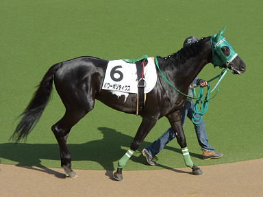 2004/02/14 東京07R