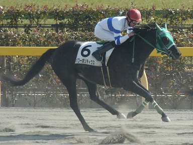 2004/02/14 東京07R