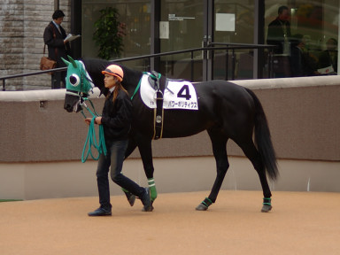2004/11/14 東京07R